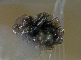 Allanite