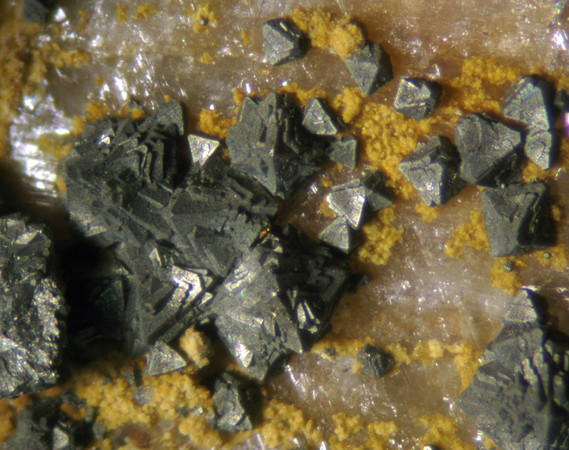 Pyritis Pyrite gallery 4